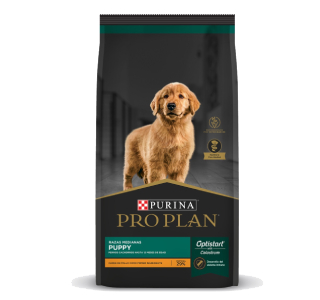 proplan1